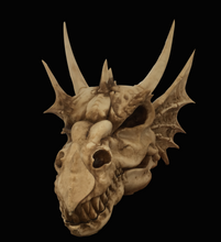 Lade das Bild in den Galerie-Viewer, Drachenkopf Shirt