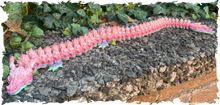 Lade das Bild in den Galerie-Viewer, 3D Drache Rainbow / flexibel / Random Farbe