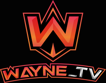 Lade das Bild in den Galerie-Viewer, Der Wayne_Tv Hoodie